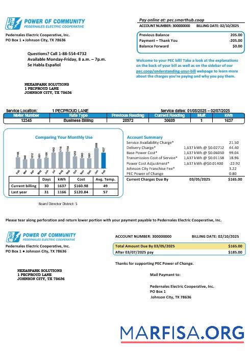 Downloadable USA Texas Power of Community electricity business utility bill in Word and PDF formats, good for address prove real example